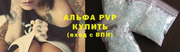 дживик Володарск