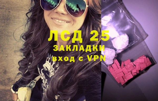 дживик Володарск